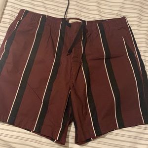 American Eagle Jogger Trekker Shorts